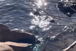 Die Sonne reflektiert sich auf der Wasseroberfläche